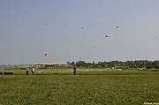 Parco San Giuliano  - 408